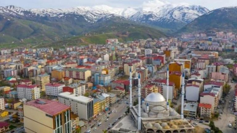 65fb6d29a62a08cf17a40bf2