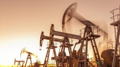 OPEC uyesi 8 ulke temmuzda 411 bin varil uretim artisina