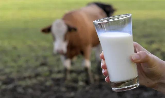 Toplanan inek sutu miktari martta 1 milyon tonu asti
