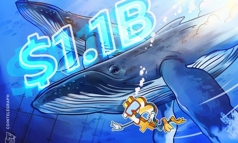Satoshi dönemi balinanın 1,1 milyar dolarlık Bitcoin transferi piyasayı sarstı 1 019840d2 4fa2 7d2b 9a67 8e30600890b1