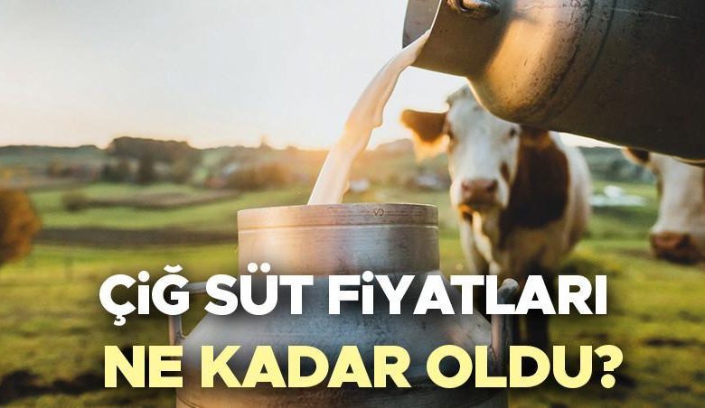 Çiğ süt fiyatları 2025 son dakika belli oldu | Çiğ süt satış fiyatı ne kadar oldu, 1 litre süt fiyatı kaç TL'ye çıktı, arttı mı? 1 6877d02dc231c13bd86ed974