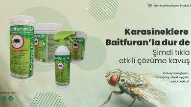 kara sineklere dur dev 2