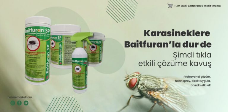 kara sineklere dur dev 2