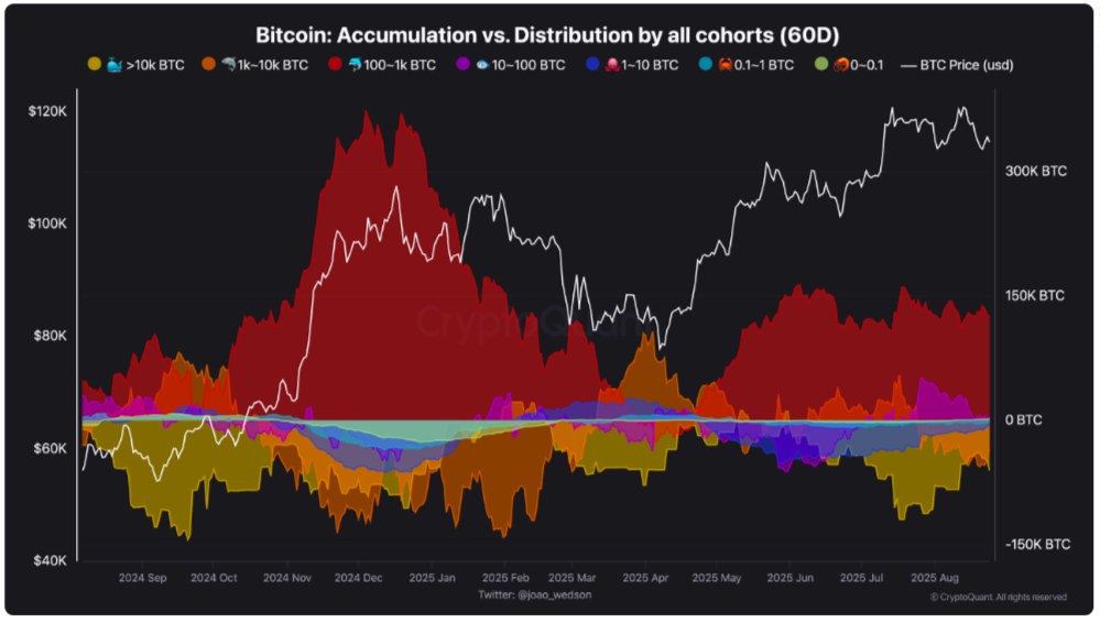 1756181780 769 Bitcoinde buyuk sarsinti — Bu hafta Bitcoin hakkinda bilmeniz gereken