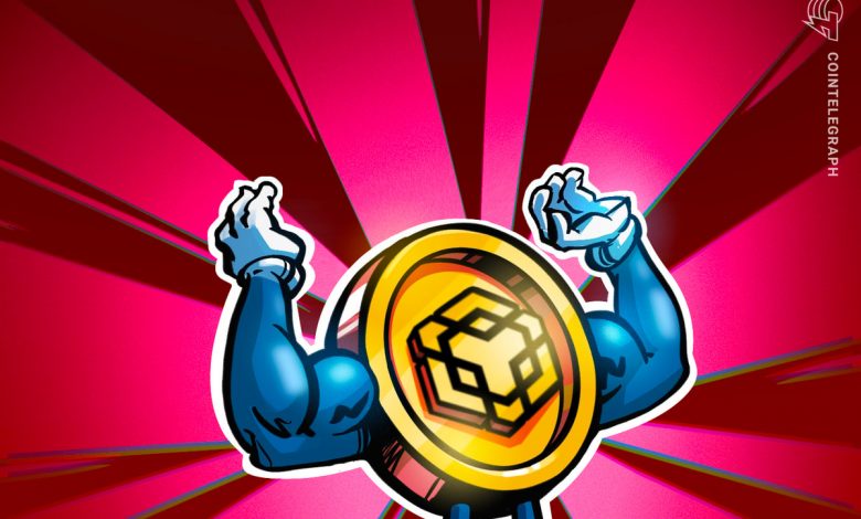 Yatırımcılar Binance borsasına tepkili ama BNB 1.370 dolarla rekor kırdı 1 0199dd6d dd09 7f2e bc40 ac724885ca00