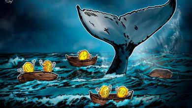 019a15c6 26d2 7339 b8d6 8750c2f40b75