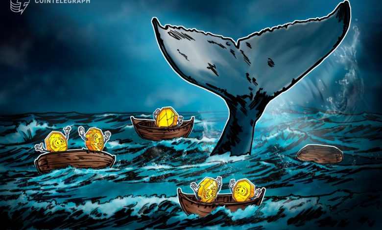 Bitcoin balinaları piyasayı gerçekten yönlendiriyor mu? Detaylı analiz 1 019a15c6 26d2 7339 b8d6 8750c2f40b75