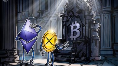 019a352f 81c7 7b0c 8796 bd92e786b34d