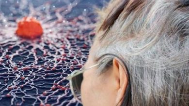 Beyaz Saçların Gizemi! Yaşlılık Değil, Hücreler Kanserle Mücadele Ediyor mu? 5 6909f446b825a93f9900ece6