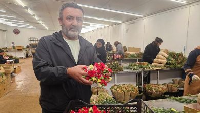 6926a1d63540cfe4e21d587a