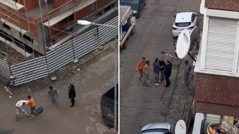 3cc591bd 9c4e 47b3 9659 5623e7c403fb