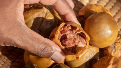 iStock 1423620091 704155