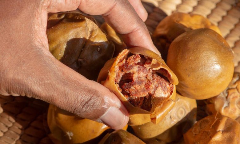 iStock 1423620091 704155