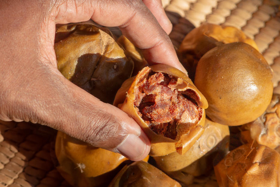 iStock 1423620091 704155