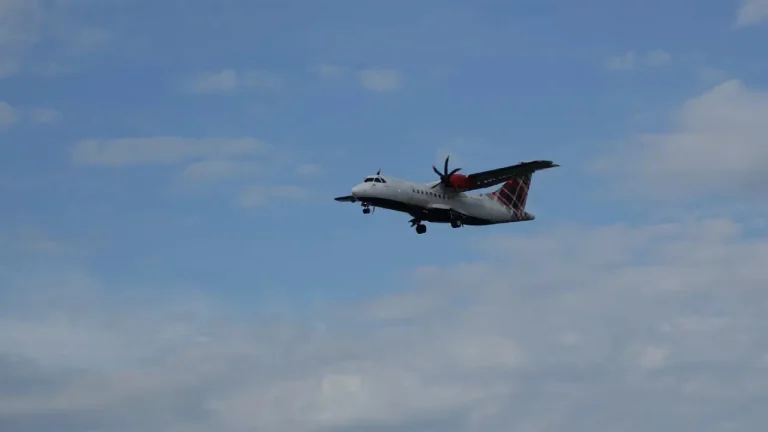 1383487b 0ded 4c31 9463 75324ff4f659