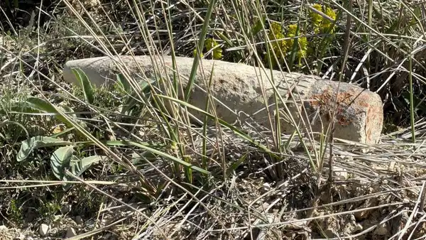 229dba5f 24a2 47fb b2e1 b8881a244f2d